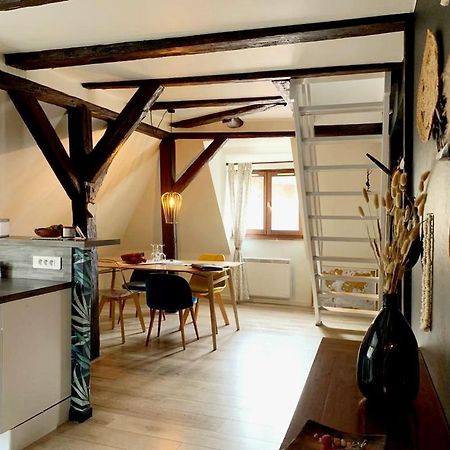 Colmar By Anne Apartment Ngoại thất bức ảnh